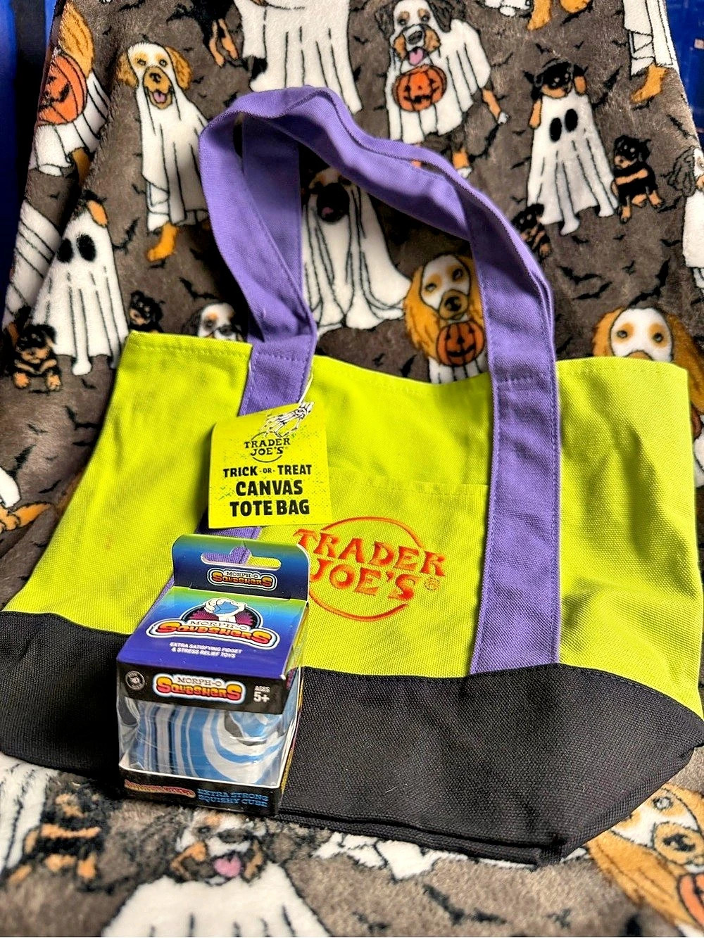 Trader Joe's Trick-or-Treat Mini Canvas Tote Bag Green & Purple